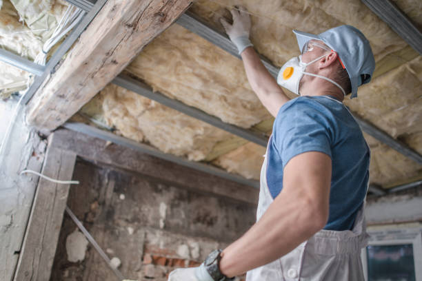 Best Commercial Insulation in Annandale, MN