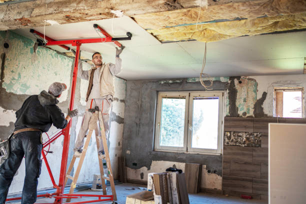 Best Insulation Maintenance and Repair in Annandale, MN